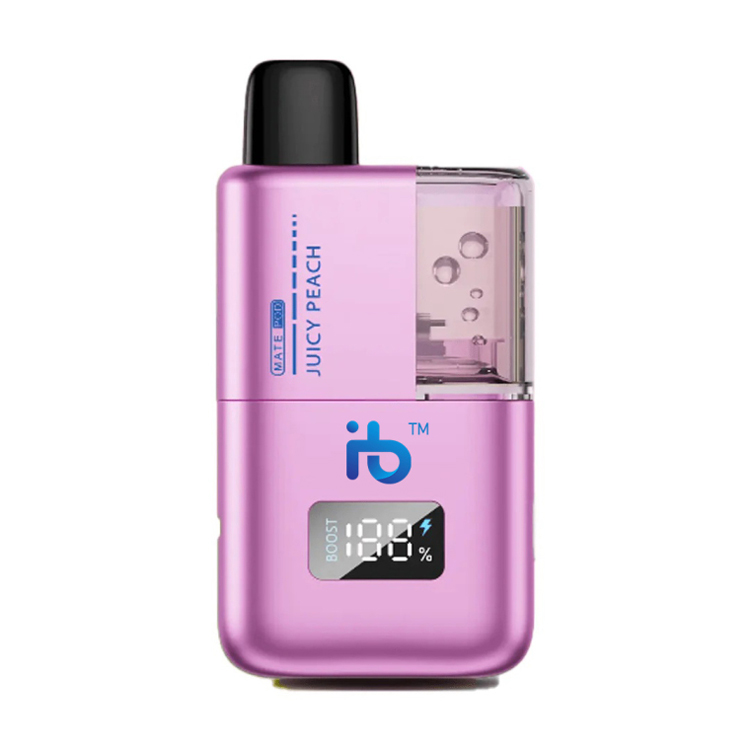 Exploring the Rising Trends in E-Cigarette Use